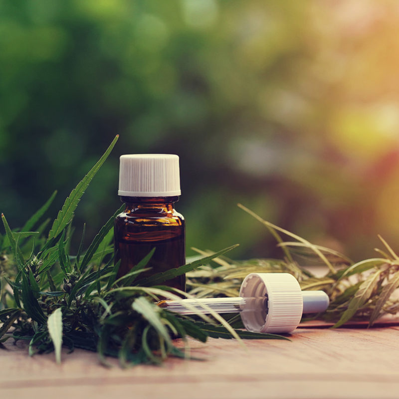 Marry Jane teljes spektrumú CBD olajok ketofeszt