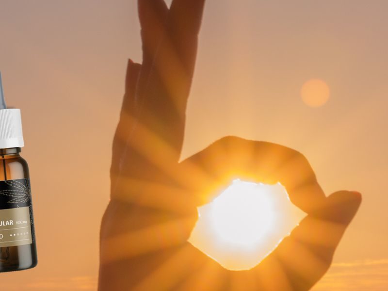 Ismerd meg a CBD olaj hatását napszúráskor és hogyan segíthet enyhíteni a fejfájást, hányást és más tüneteket. Olvass sporttippeket és diétás tanácsokat a nyári forma eléréséhez.